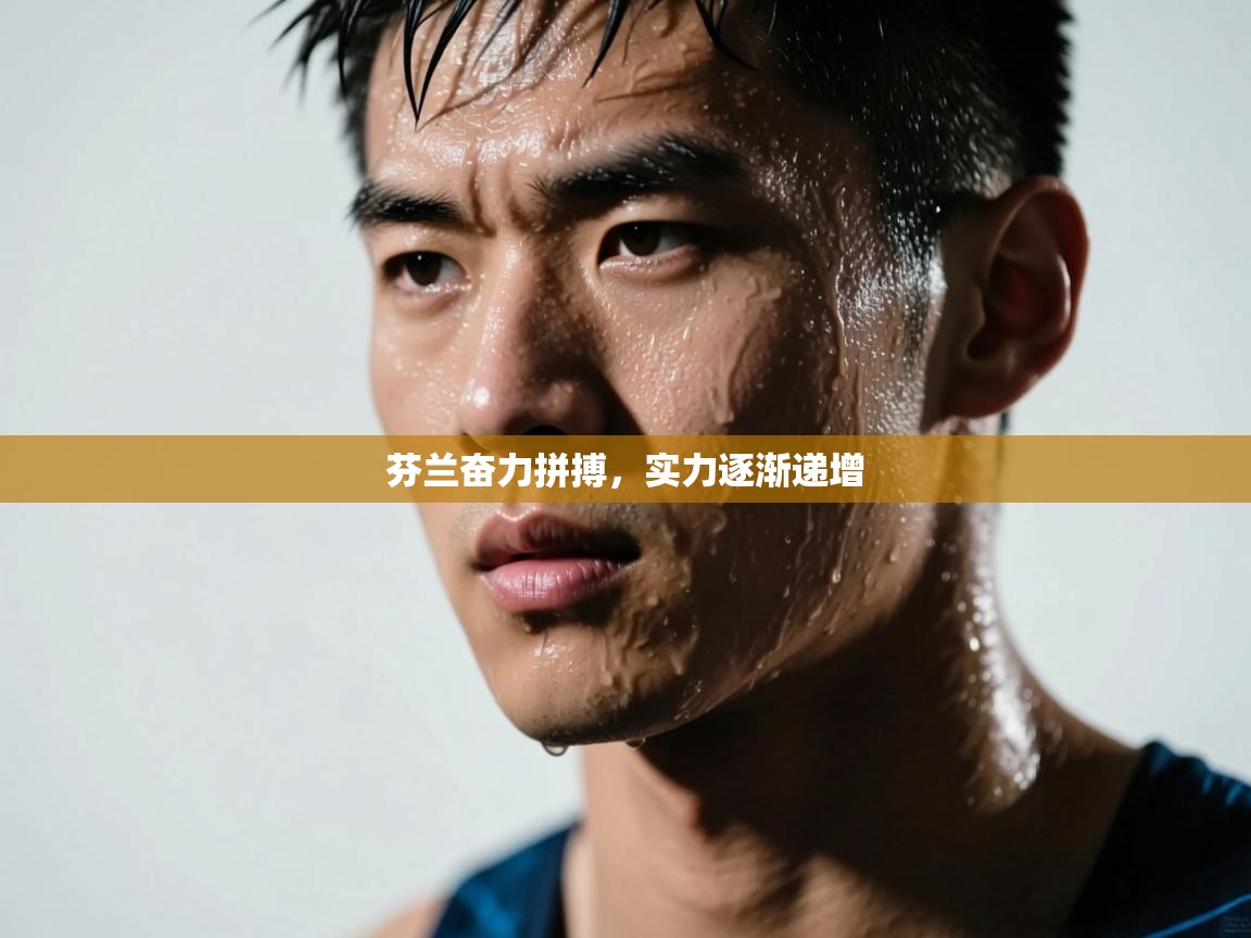 芬兰奋力拼搏,实力逐渐递增