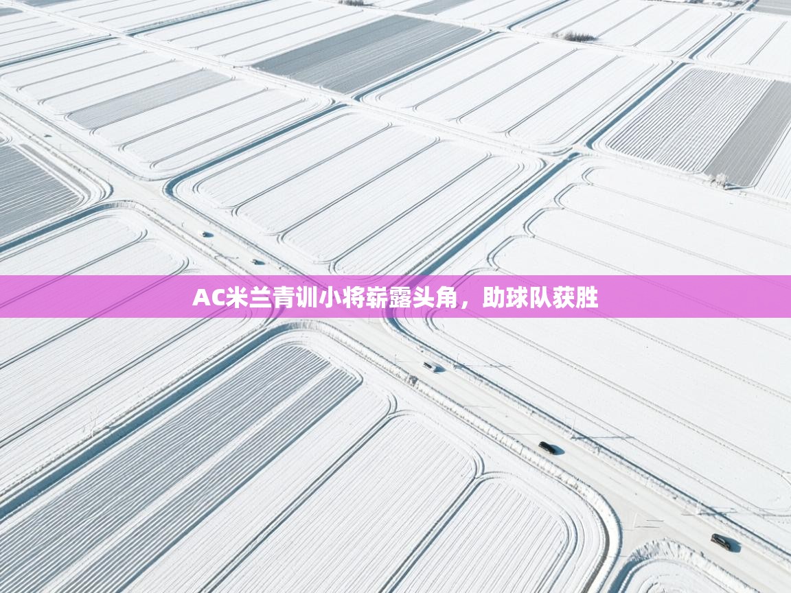 AC米兰青训小将崭露头角,助球队获胜 第2张