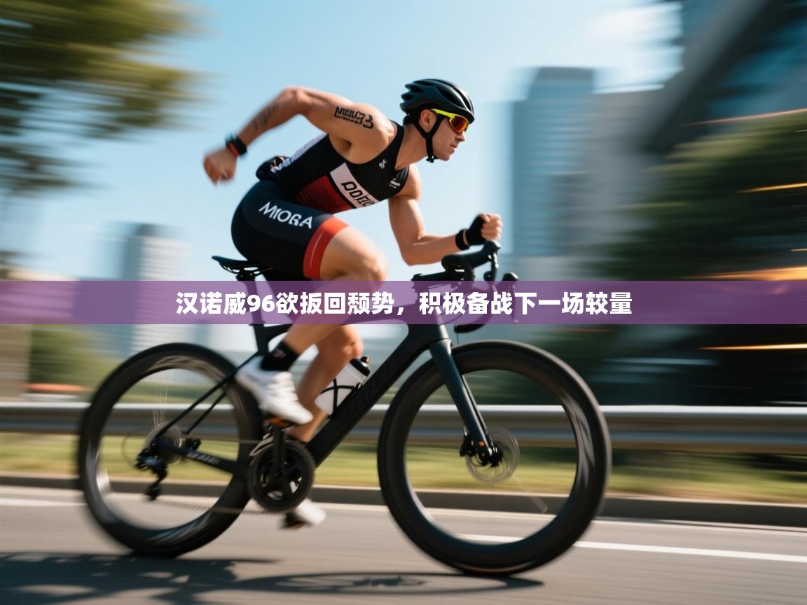 汉诺威96欲扳回颓势，积极备战下一场较量  第2张