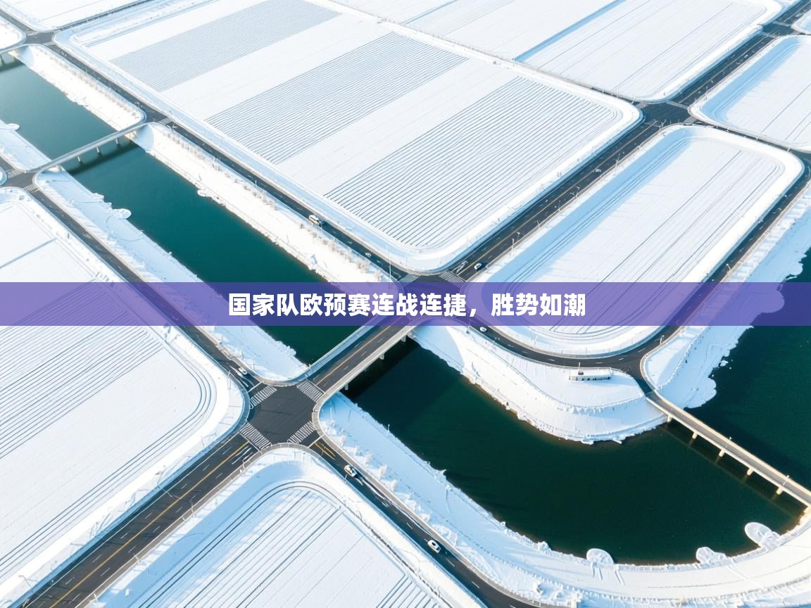国家队欧预赛连战连捷，胜势如潮
