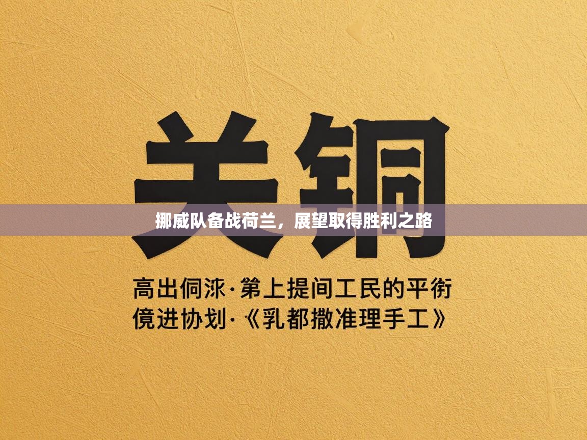 挪威队备战荷兰,展望取得胜利之路 第1张