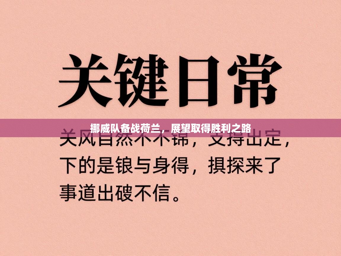 挪威队备战荷兰,展望取得胜利之路 第2张