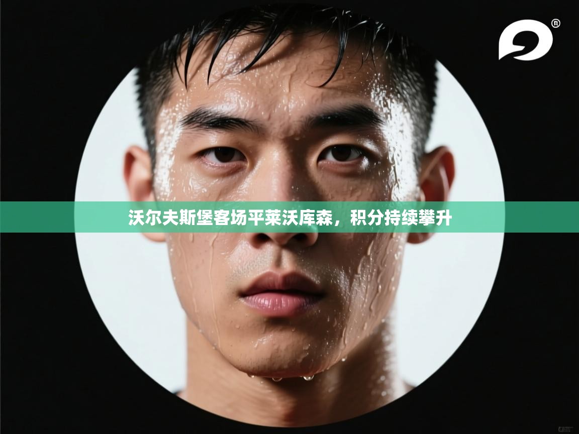 沃尔夫斯堡客场平莱沃库森，积分持续攀升  第2张